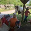 2022 Horseback Riding